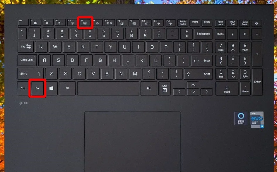 Touchpad Enable Shortcuts for Different Windows Laptop Brands